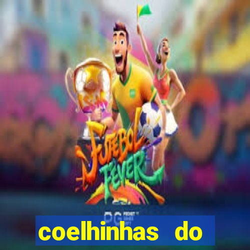 coelhinhas do brasil recife